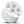 Load image into Gallery viewer, AP5C Gloss White * NEW*