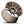Load image into Gallery viewer, CS8 Matte Bronze